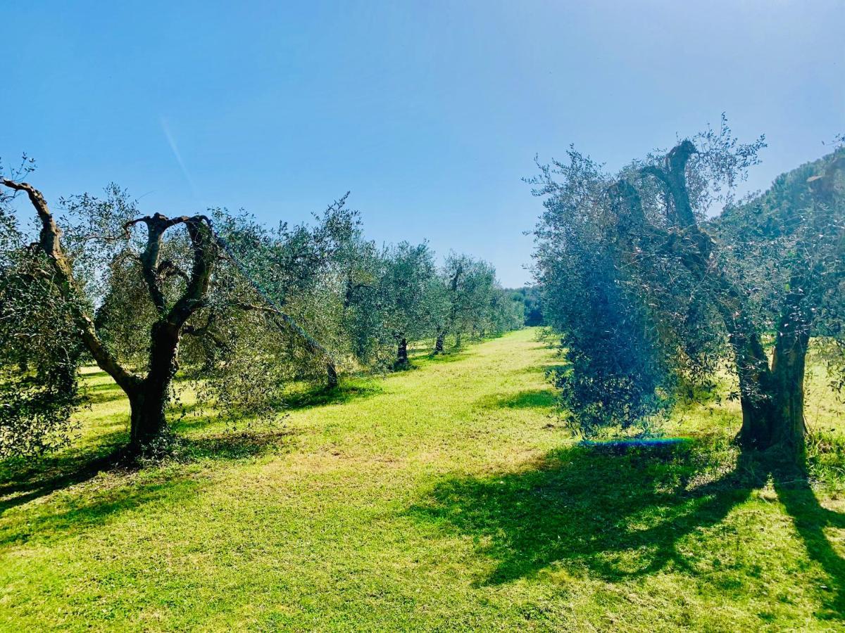 Il Borghetto Di Ansedonia Apartment Ngoại thất bức ảnh