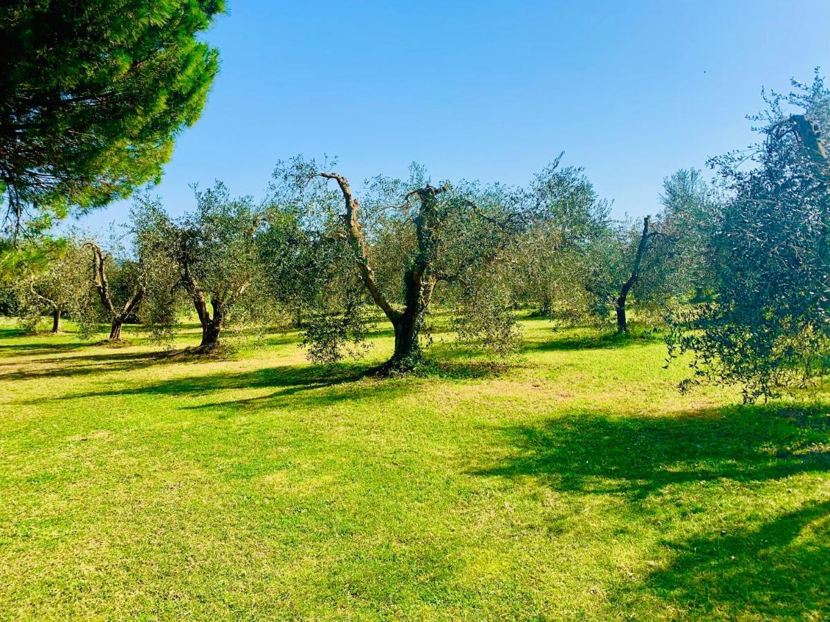Il Borghetto Di Ansedonia Apartment Ngoại thất bức ảnh