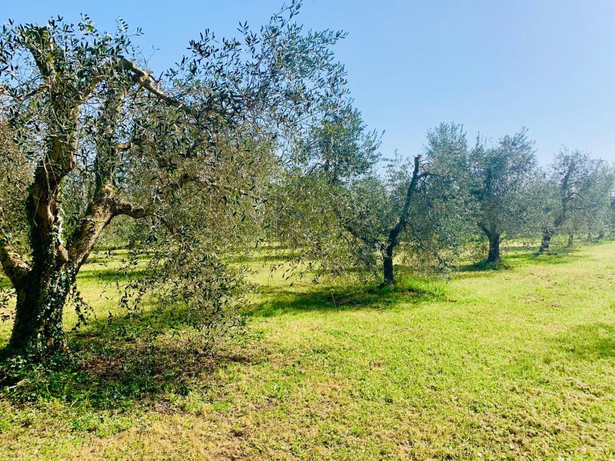 Il Borghetto Di Ansedonia Apartment Ngoại thất bức ảnh