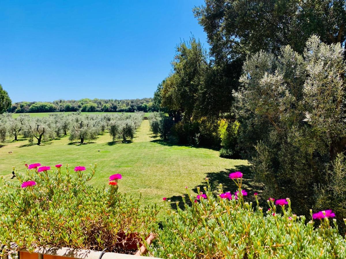Il Borghetto Di Ansedonia Apartment Ngoại thất bức ảnh