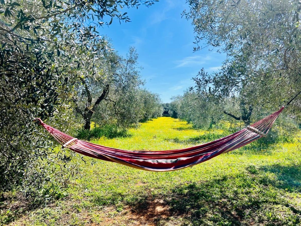 Il Borghetto Di Ansedonia Apartment Ngoại thất bức ảnh